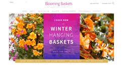 Desktop Screenshot of blooming-baskets.com